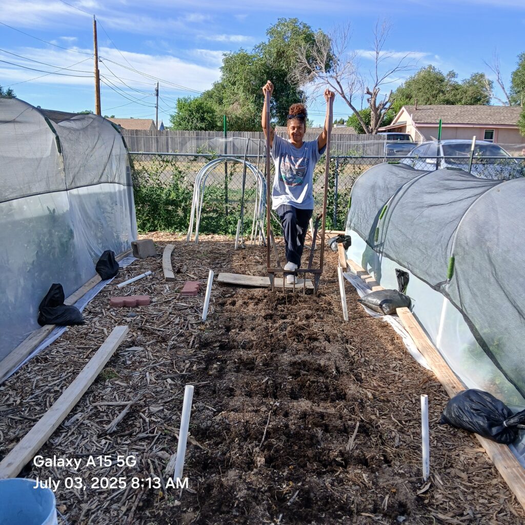 Succession planting carrots. Geonna broadforking the next carrots bed. Succession planting carrots. Geonna and Leah sowing carrots. Succession planting carrots 2025. Quarter Acre and a Mule, Pueblo, Colorado.