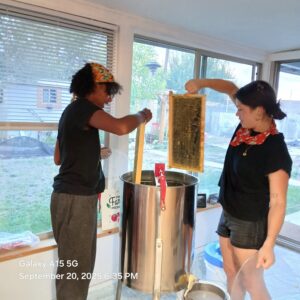 2025 harvesting honey in pueblo county with beekeepers