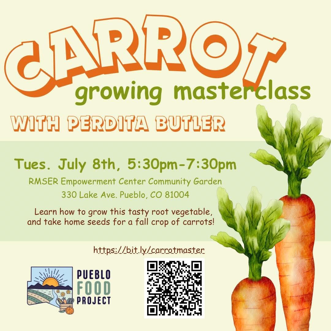 2025 Carrot Growing Masterclass