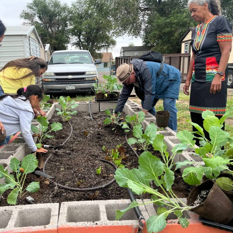 Homestead, Gardener, Quarter Acre and a Mule, Perdita Butler, Buy Pueblo Vegetables, Farmers Market Near Me
