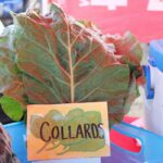 Collards, Greens, Quarter Acre and a Mule, Perdita Butler, Buy Pueblo Vegetables, Farmers Market Near Me
