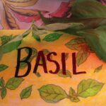 Basil Herbs, Quarter Acre and a Mule, Perdita Butler, Buy Pueblo Vegetables, Farmers Market Near Me