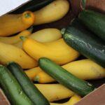 Yellow Squash, Green Squash, Quarter Acre and a Mule, Perdita Butler, Buy Pueblo Vegetables, Farmers Market Near Me