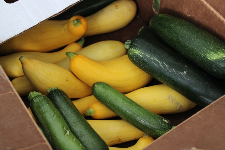 Yellow Squash, Green Squash, Quarter Acre and a Mule, Perdita Butler, Buy Pueblo Vegetables, Farmers Market Near Me