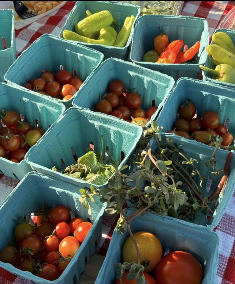 Tomatoes, Peppers, Greens, Herbs, Quarter Acre and a Mule, Perdita Butler, Buy Pueblo Vegetables, Farmers Market Near Me