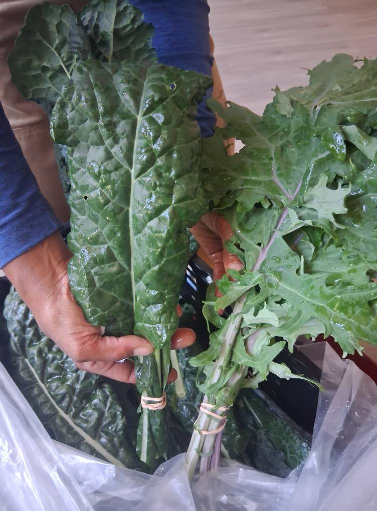 Kale, Greens, Quarter Acre and a Mule, Perdita Butler, Buy Pueblo Vegetables, Farmers Market Near Me