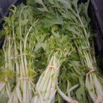 Greens, Quarter Acre and a Mule, Perdita Butler, Buy Pueblo Vegetables, Farmers Market Near Me