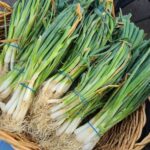 Scallions, Onions, Quarter Acre and a Mule, Perdita Butler, Buy Pueblo Vegetables, Farmers Market Near Me