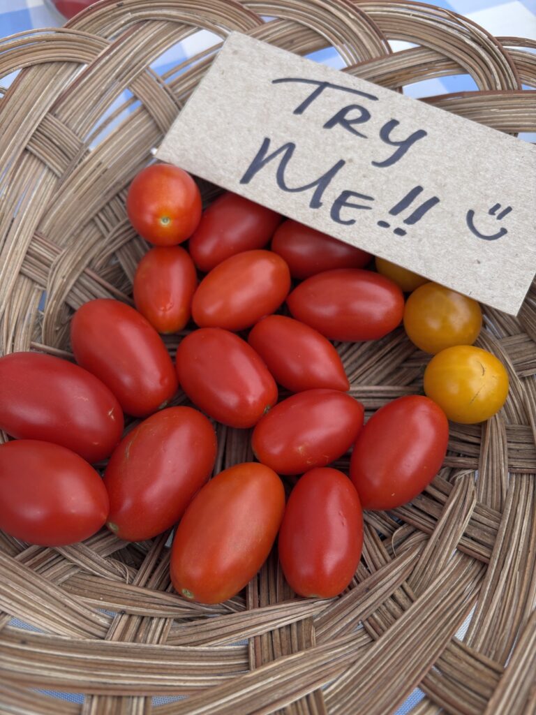 Tomatoes, Quarter Acre and a Mule, Perdita Butler, Buy Pueblo Vegetables, Farmers Market Near Me