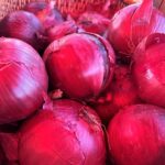 Red Onions from Quarter Acre and a Mule, Perdita Butler, Buy Pueblo Vegetables, Farmers Market Near Me