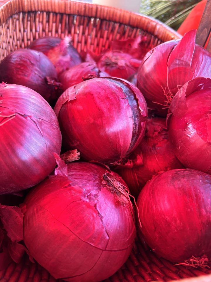 Red Onions from Quarter Acre and a Mule, Perdita Butler, Buy Pueblo Vegetables, Farmers Market Near Me