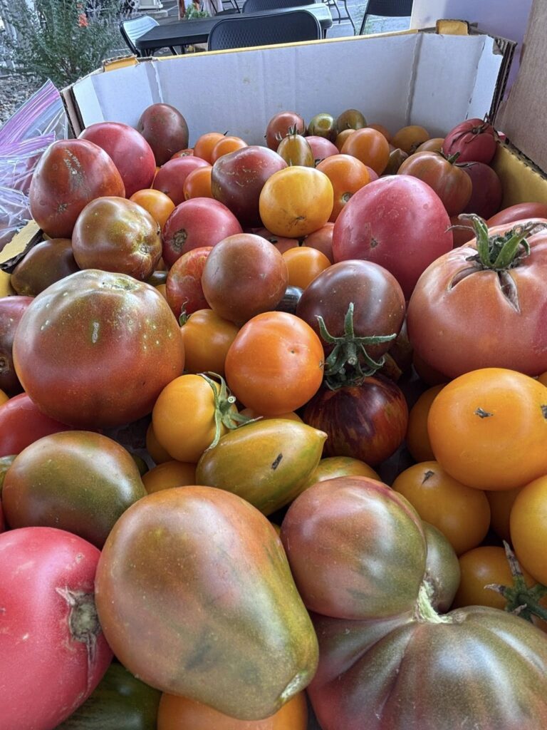 Heirloom Tomatoes from Quarter Acre and a Mule, Perdita Butler, Buy Pueblo Vegetables, Farmers Market Near Me