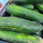 Cucumbers at Quarter Acre and a Mule, Perdita Butler, Buy Pueblo Vegetables, Farmers Market Near Me