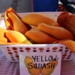 Yellow Squash, Quarter Acre and a Mule, Perdita Butler, Buy Pueblo Vegetables, Farmers Market Near Me