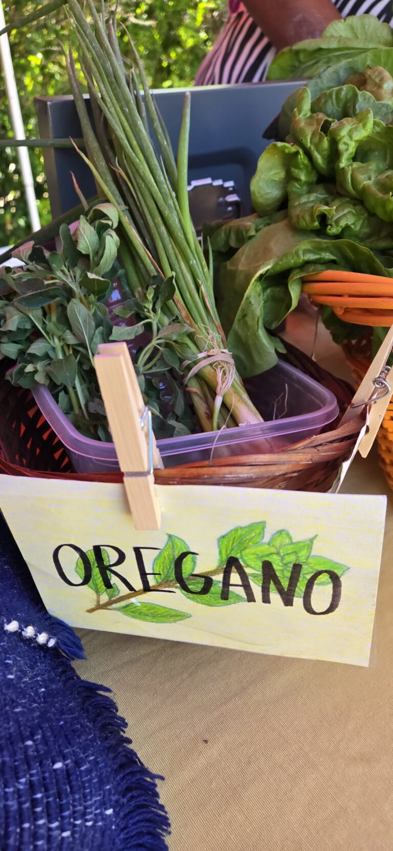 2026-beulah-farmers-market-010