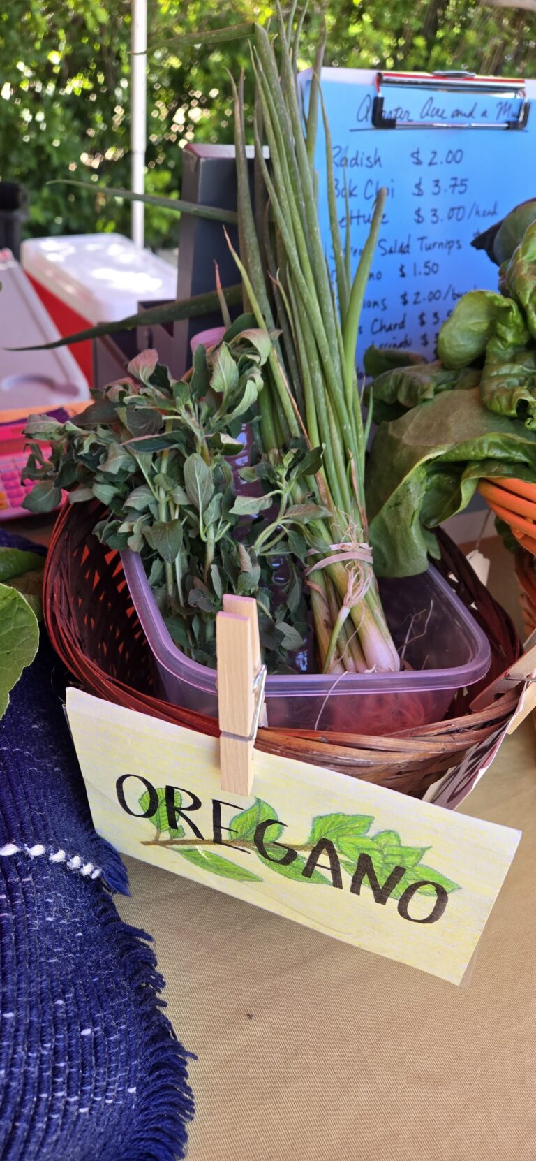 2026-beulah-farmers-market-011