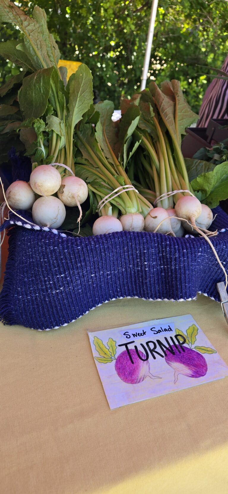 2026-beulah-farmers-market-07