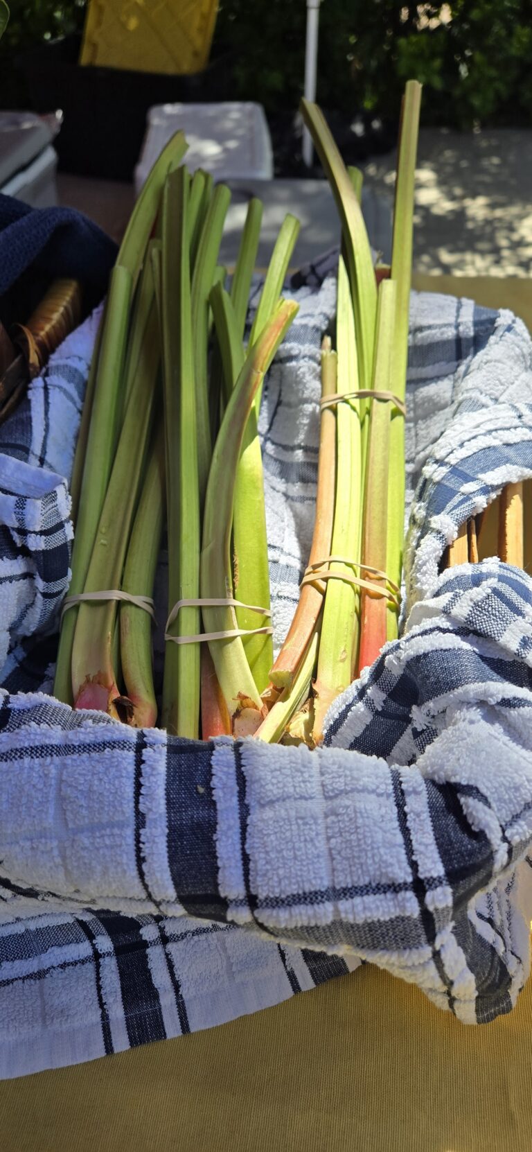2026-beulah-farmers-market-09