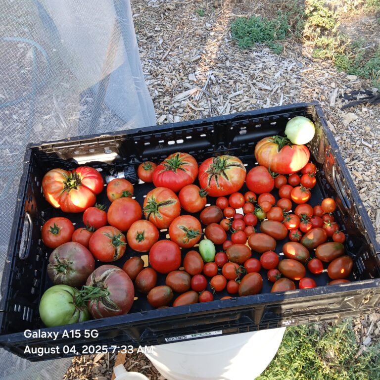 NRCS-Grant-Funded-Improvements-at-Quarter-Acre-and-a-Mule-Results-02