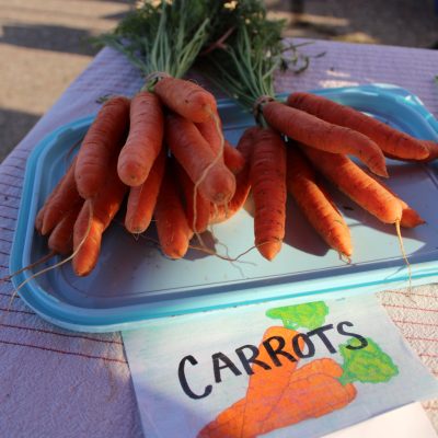 Carrots at Quarter Acre and a Mule, Perdita Butler, Buy Pueblo Vegetables, Farmers Market Near Me