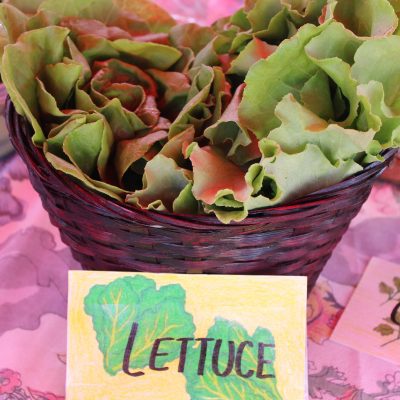 Lettuce, Cilantro Herbs, Quarter Acre and a Mule, Perdita Butler, Buy Pueblo Vegetables, Farmers Market Near Me