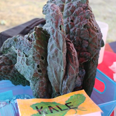 Kale, Greens, Quarter Acre and a Mule, Perdita Butler, Buy Pueblo Vegetables, Farmers Market Near Me