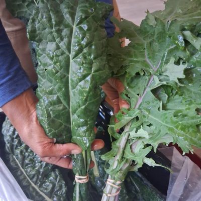Kale, Greens, Quarter Acre and a Mule, Perdita Butler, Buy Pueblo Vegetables, Farmers Market Near Me