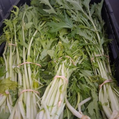 Greens, Quarter Acre and a Mule, Perdita Butler, Buy Pueblo Vegetables, Farmers Market Near Me