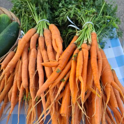 Fresh Carrots, Quarter Acre and a Mule, Perdita Butler, Buy Pueblo Vegetables, Farmers Market Near Me