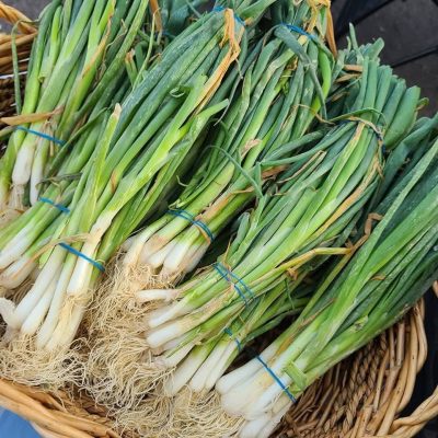 Scallions, Onions, Quarter Acre and a Mule, Perdita Butler, Buy Pueblo Vegetables, Farmers Market Near Me