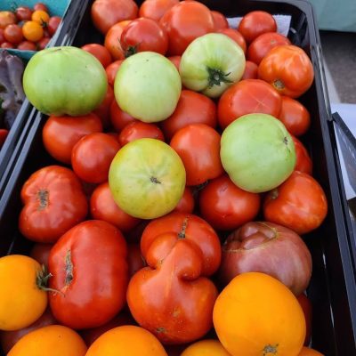 Tomatoes, Quarter Acre and a Mule, Perdita Butler, Buy Pueblo Vegetables, Farmers Market Near Me