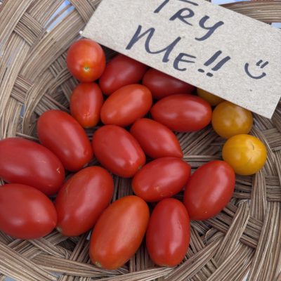 Tomatoes, Quarter Acre and a Mule, Perdita Butler, Buy Pueblo Vegetables, Farmers Market Near Me