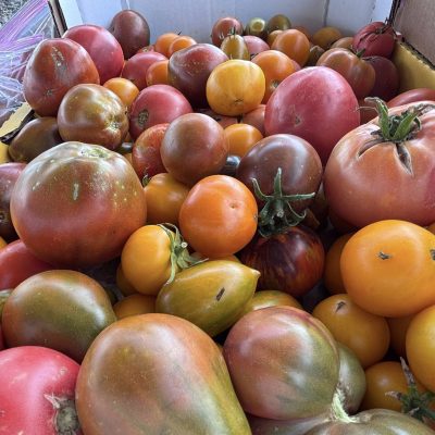 Heirloom Tomatoes from Quarter Acre and a Mule, Perdita Butler, Buy Pueblo Vegetables, Farmers Market Near Me