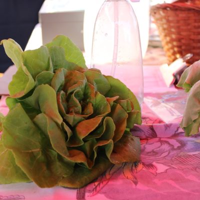 Lettuce, Quarter Acre and a Mule, Perdita Butler, Buy Pueblo Vegetables, Farmers Market Near Me