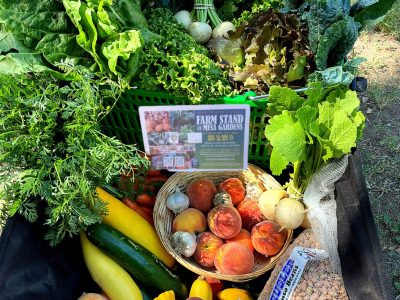 Stormy, Ariel, and Otto’s Produce Bonus haul!