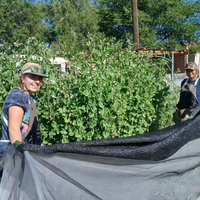 Mia and Geonna, planting peas in Pueblo