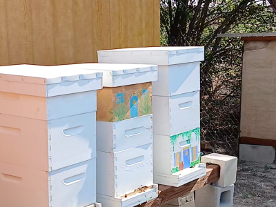 Increased the hives by one!