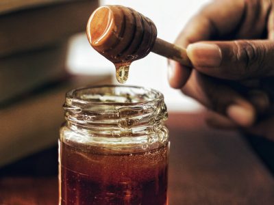 Harvesting Honey in Pueblo County