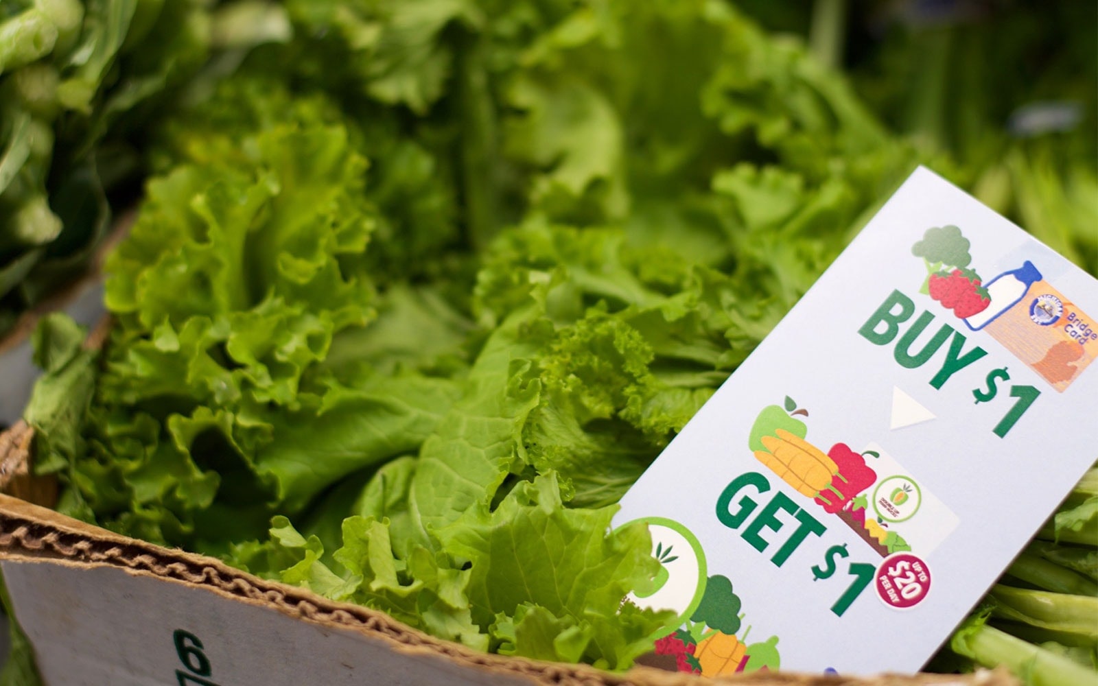 feat double up food bucks snap