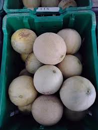 new-roots-pueblo-melons