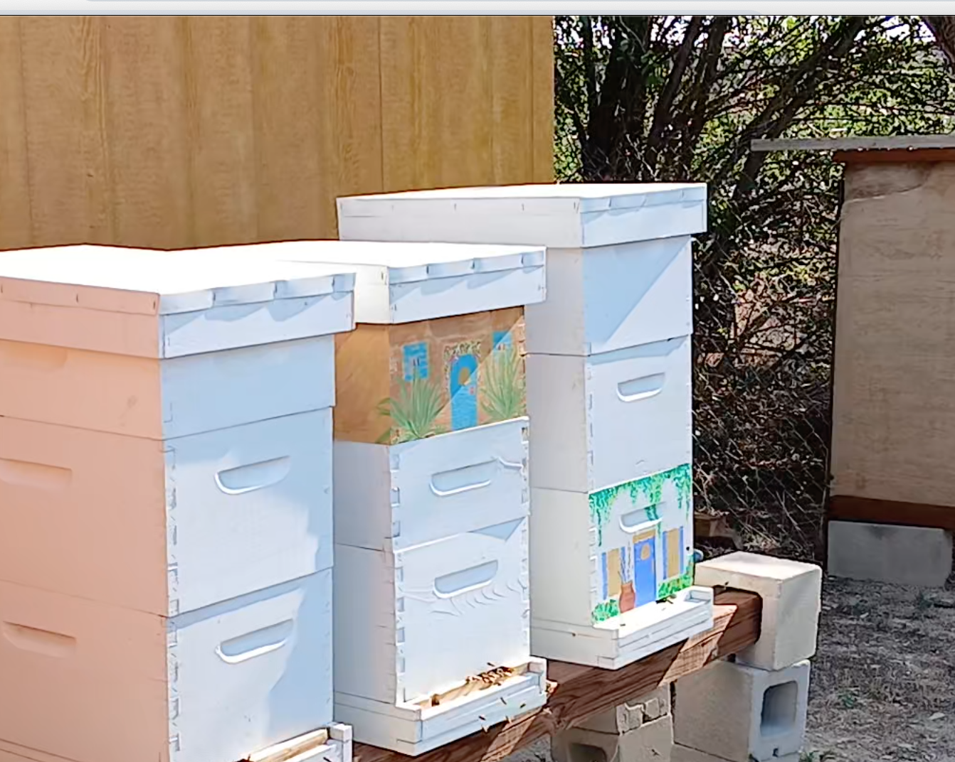 Increased the hives by one!