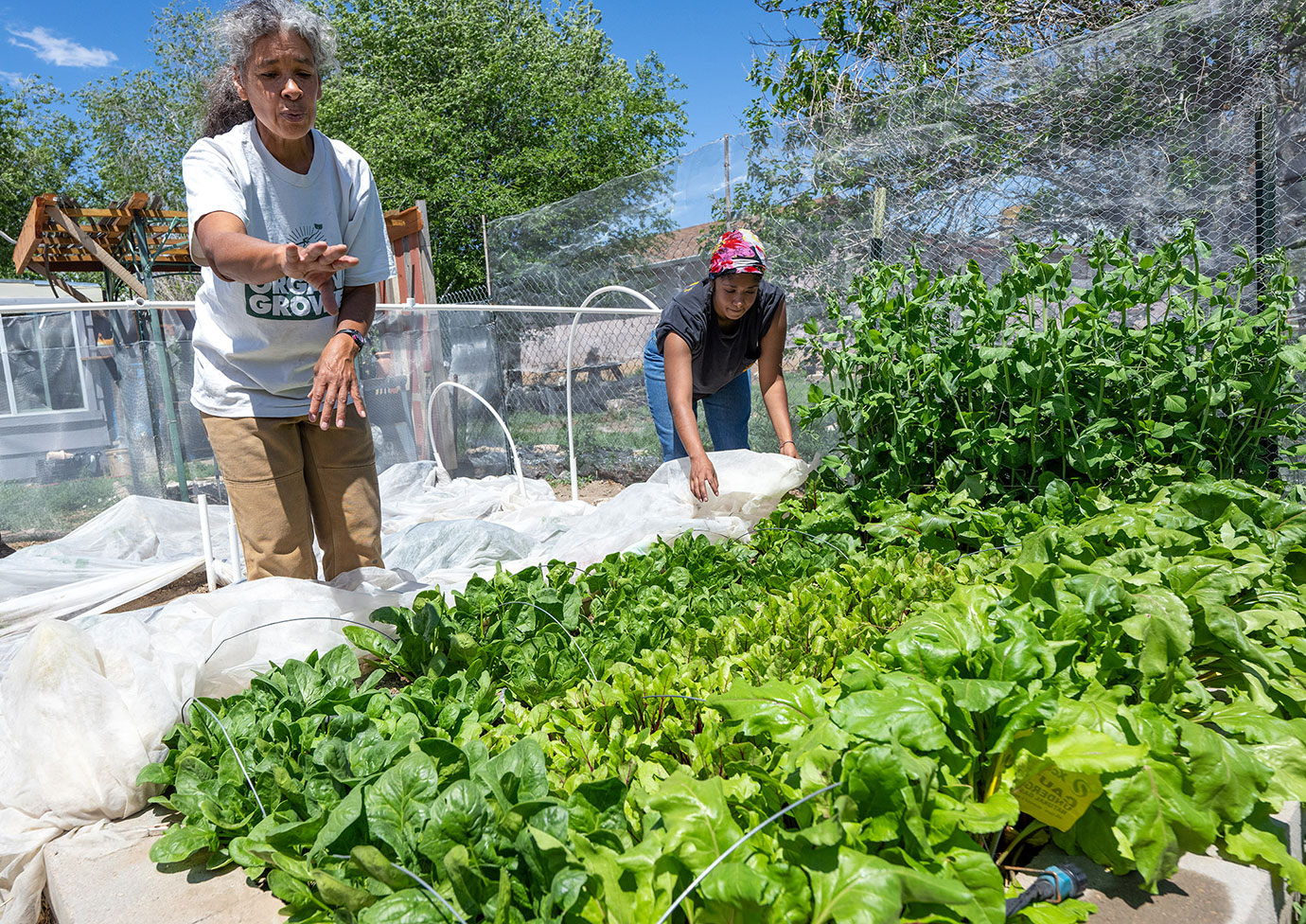 perdita butler in the garden