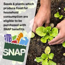 Seeds & plants approved purchases under SNAP EBT